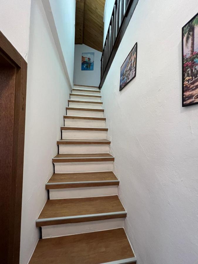 Sml Apartments 1 イゾラ エクステリア 写真